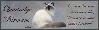 Quail Ridge Birmans